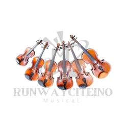 Violins: Electric Violins in Illinois