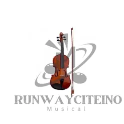 Violin: Digital Violin in Illinois