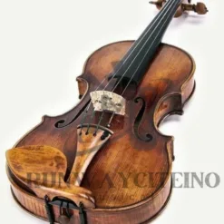 Violin: Smart Violin in Illinois
