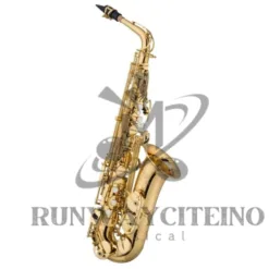 Brass Horn: Digital Brass in Illinois