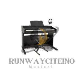 Piano: Digital Piano in Illinois